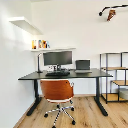 Ulmer Penthouse Für 7, Arbeitsplatz, Xxl-dachterrasse, Grill, Wii Apartment *